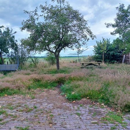 Logeerruimte In Gerenoveerde Boerderij In Wachtum Lejlighed Eksteriør billede