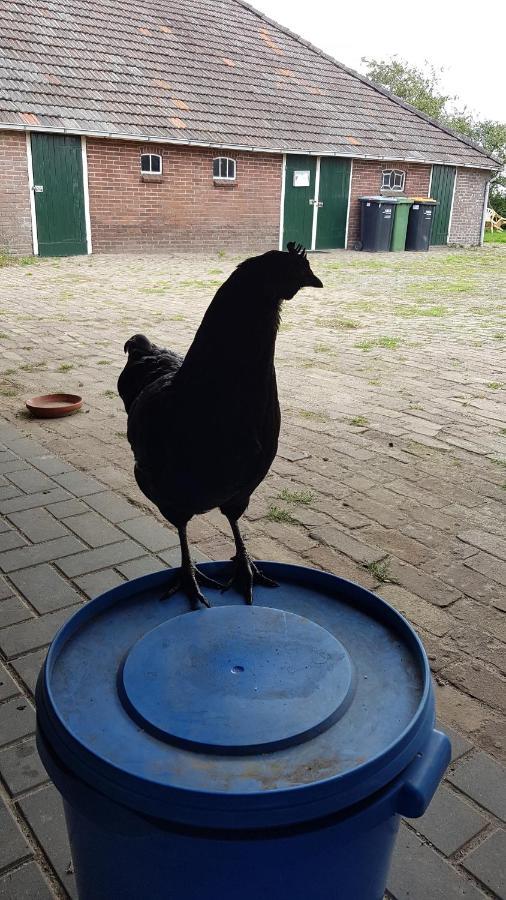 Logeerruimte In Gerenoveerde Boerderij In Wachtum Lejlighed Eksteriør billede