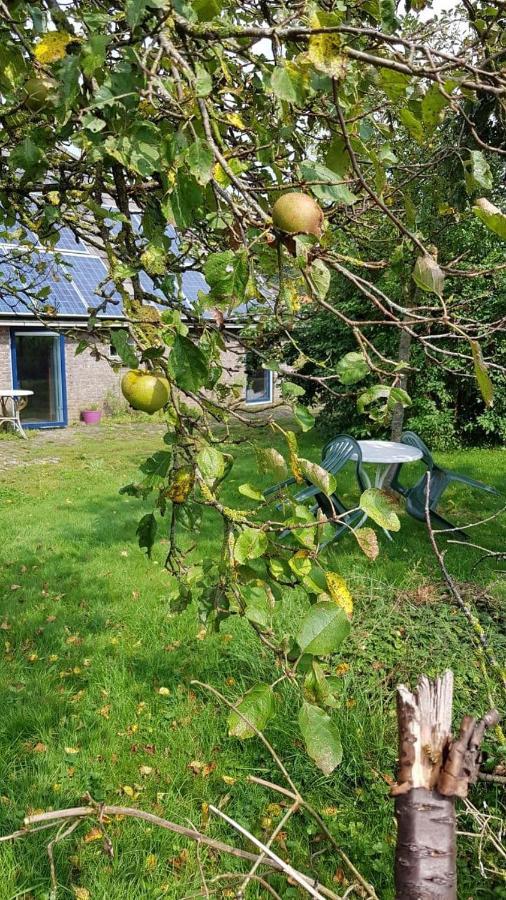 Logeerruimte In Gerenoveerde Boerderij In Wachtum Lejlighed Eksteriør billede