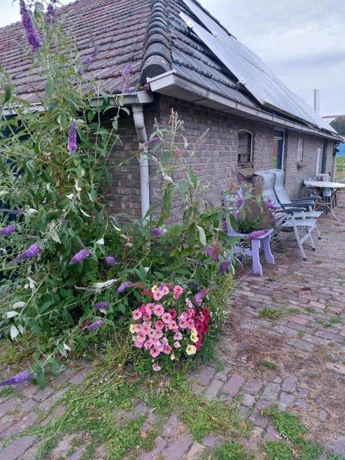 Logeerruimte In Gerenoveerde Boerderij In Wachtum Lejlighed Eksteriør billede