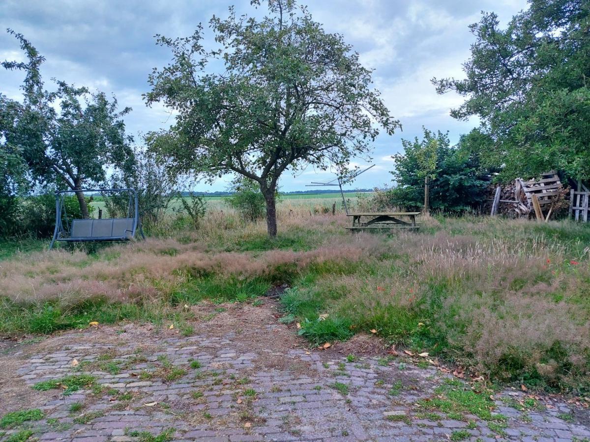 Logeerruimte In Gerenoveerde Boerderij In Wachtum Lejlighed Eksteriør billede